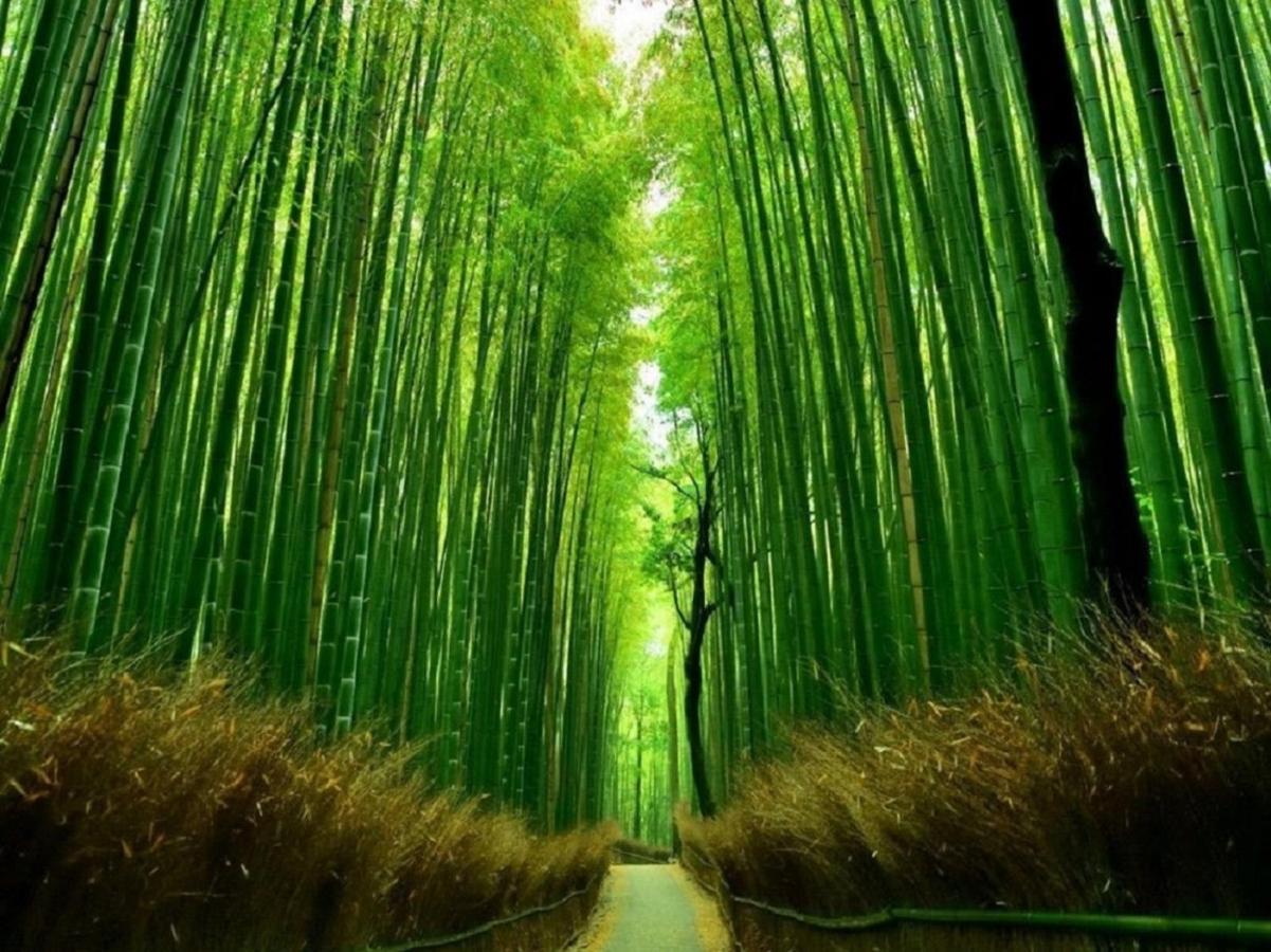 鴨川 栄の屋 Kamo River Machiya Halo House Kioto Zewnętrze zdjęcie